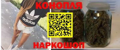 Альфа ПВП Камышлов
