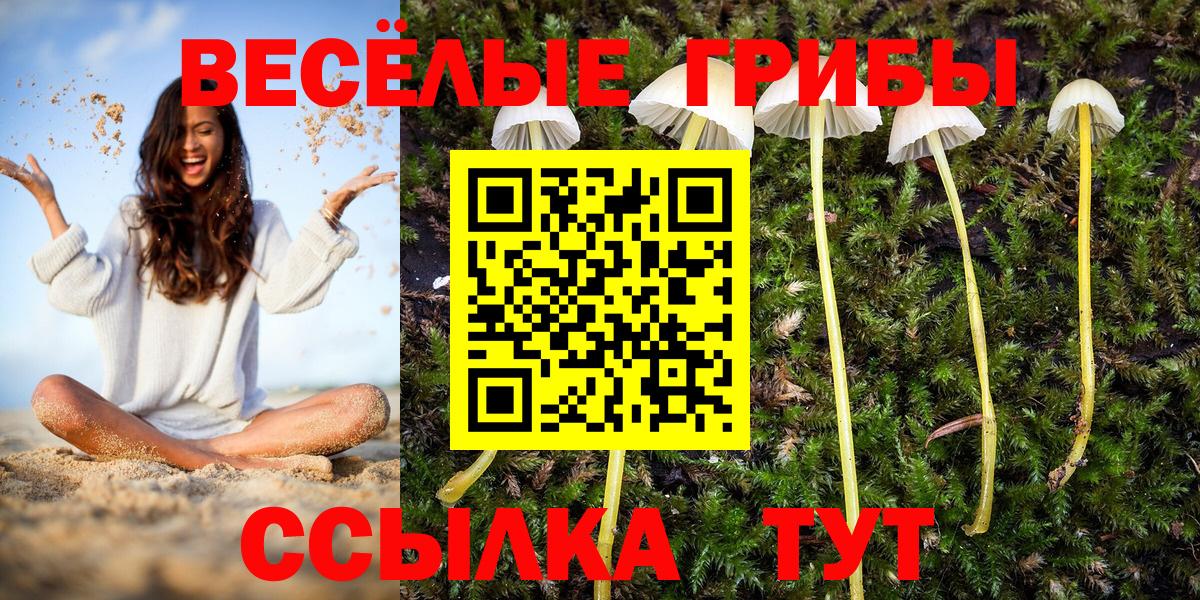 Сергиев Посад  Галлюциногенные грибы прущие грибы  Вход с VPN  Галлюциногенные грибы MAGIC MUSHROOMS 