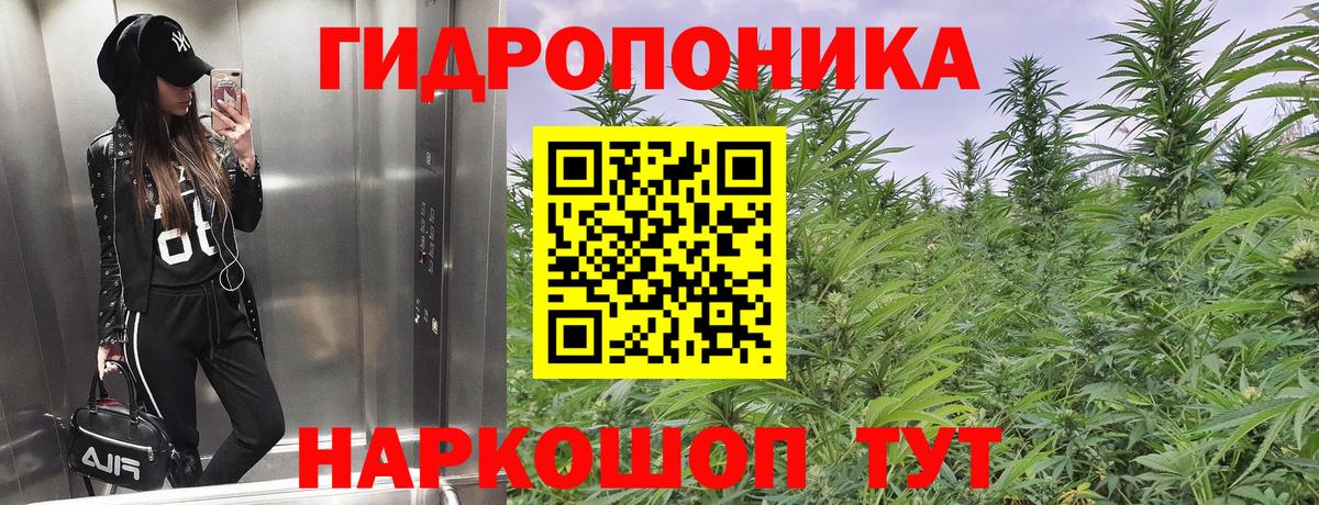 Бошки марихуана Amnesia  Канабис конопля  Сергиев Посад  Вход с VPN 